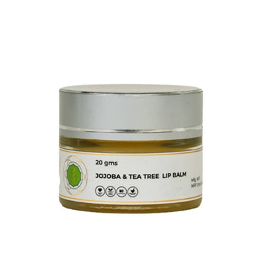 https://cdn.shopify.com/s/files/1/1857/6931/files/RBk6E4hWya-464926.jpg?v=1736147160